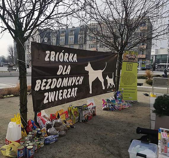 Dokładne podsumowanie zbiórki organizowanej przez grupę Share With Me