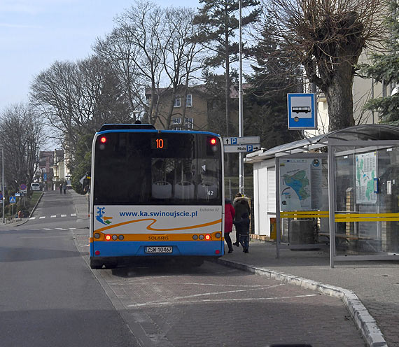 Pytamy o wan lini autobusow