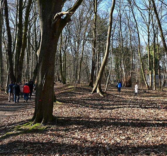 Ścieżką rowerową wzdłuż alei bukowej, drogą z Jachtowej do Uzdrowiskowej