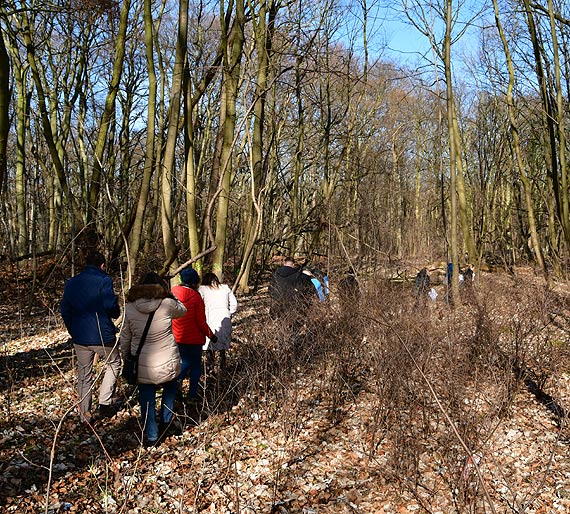 Ścieżką rowerową wzdłuż alei bukowej, drogą z Jachtowej do Uzdrowiskowej