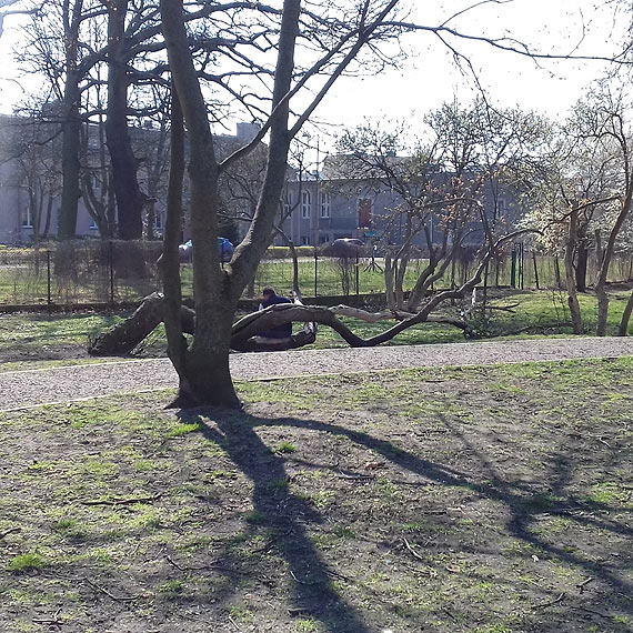 Ulubione miejsce zabaw. Kochaj je dzieci i mionicy wyskokowych trunkw