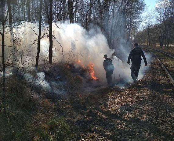 Czytelnik: Poar lasu na Warszowie jako pierwsze zauwayy dzieci