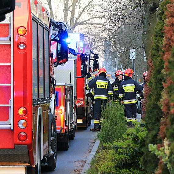 Wo rozpuszczalnika wzmoga czujno ssiada