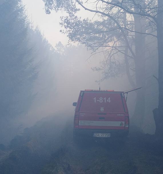 Zagrożenie pożarowe RDLP Szczecin