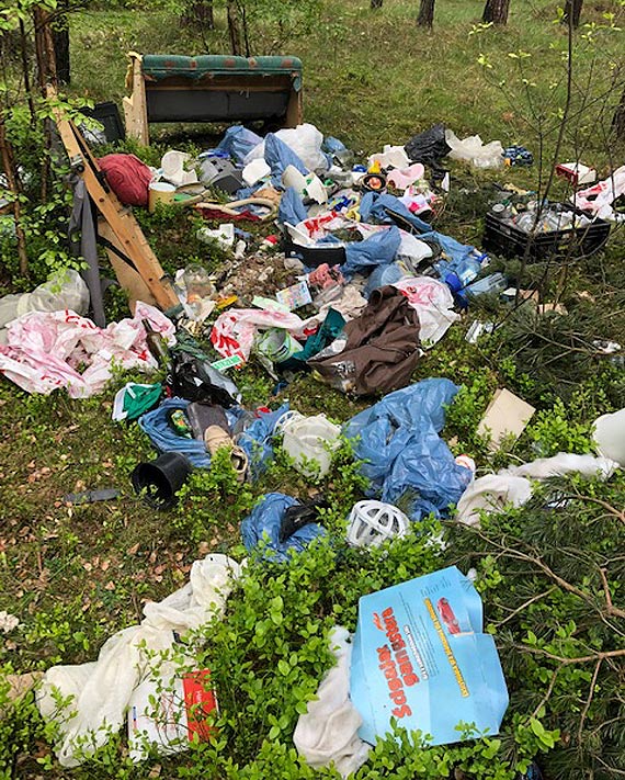 W lasach rosn nie tylko drzewa, ale i gry mieci!