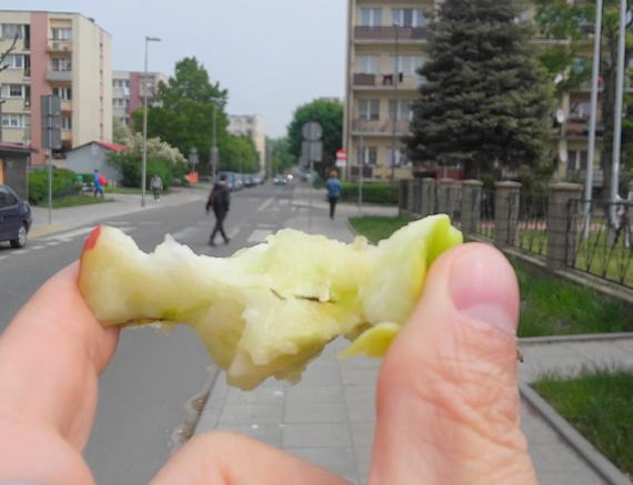 wiat buduje miasta smart a na Kociuszki jest tylko jeden kosz na mieci 