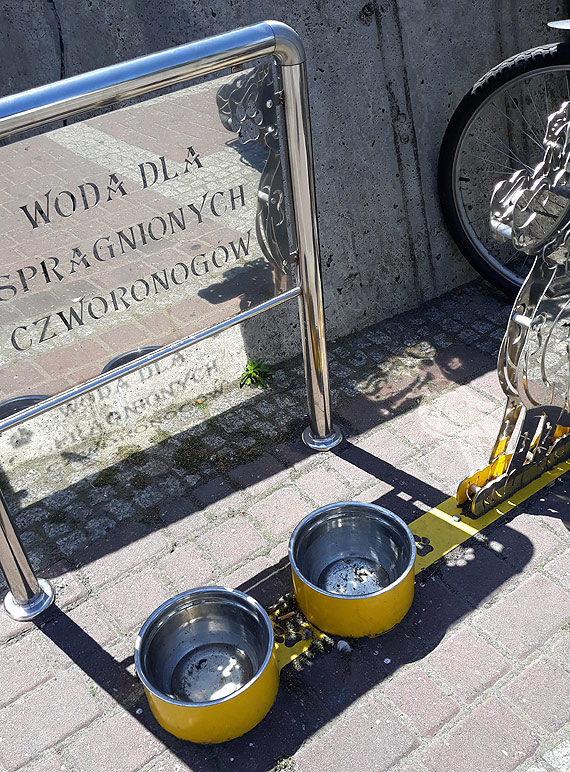 Trzy miski nie wystarczą, trzeba jeszcze wymienić wodę