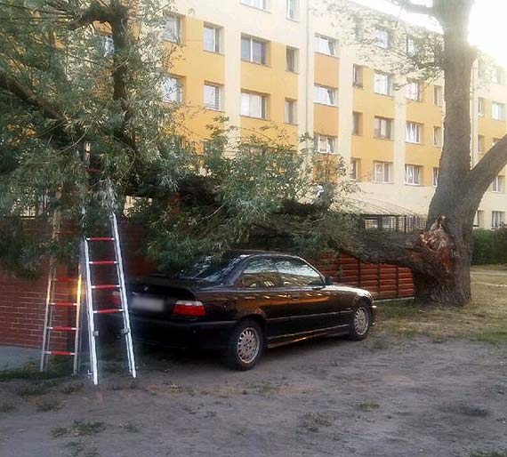 Przewrcio si drzewo. Straacy odsunli samochd na bok