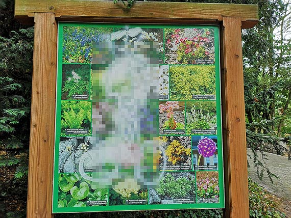 Zadbana zieleń? nie w Świnoujściu!