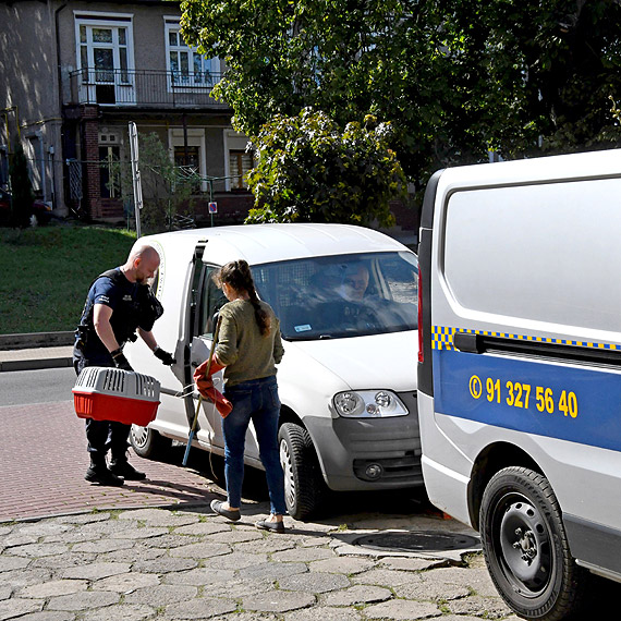 Jak minął dzień u pana Piotra