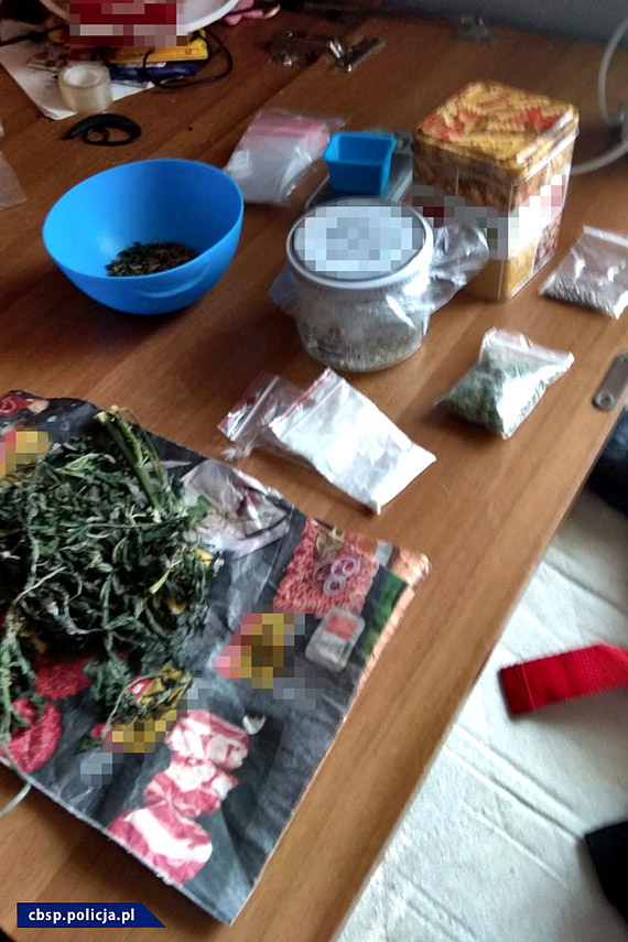 Rozbita grupa przestpcza w Kamieniu Pomorskim - szukamy pokrzywdzonych. Zobacz film!