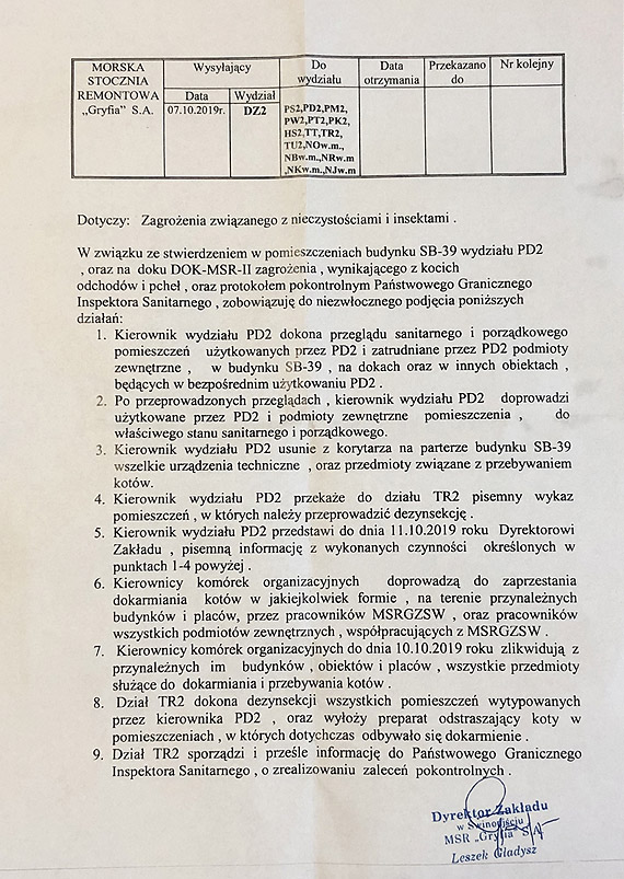 Wypdz koty ze stoczni? Na tym terenie yje okoo 50 kotw! Zobacz film!