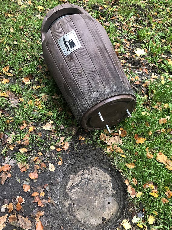 Walczymy z dzikami, a ludzie przejmuj ich natur