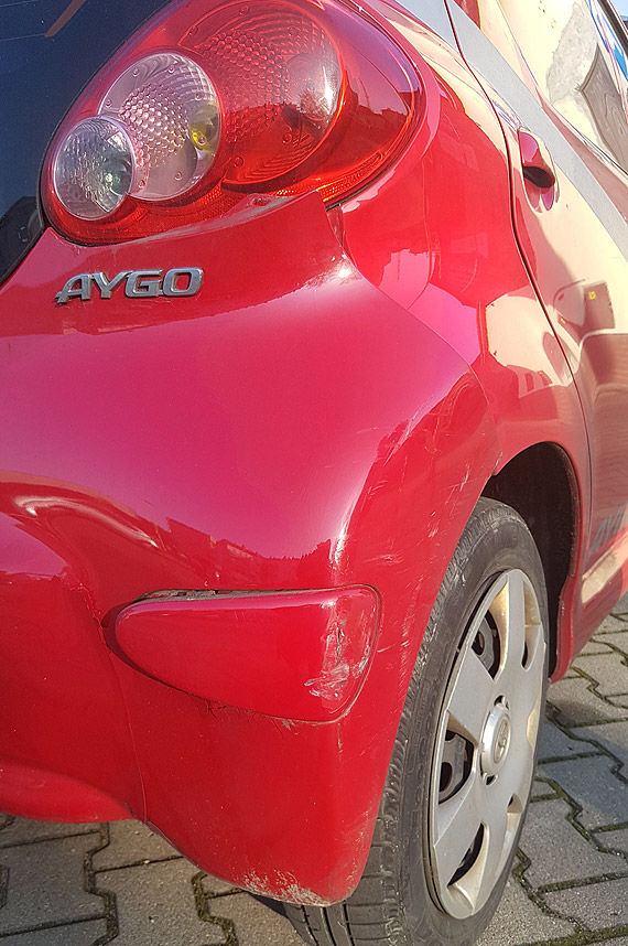 Kierowca „dzikuje” za uszkodzenie samochodu