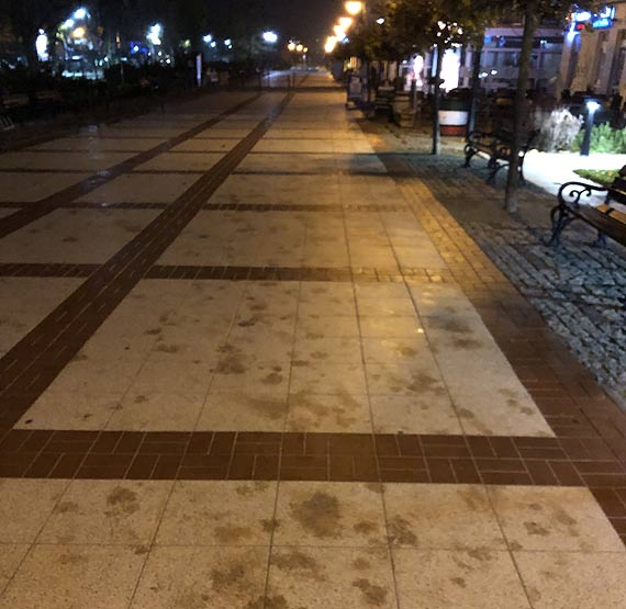 Promenada pełna plam, nie tylko palm...