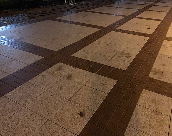 Promenada pełna plam, nie tylko palm...