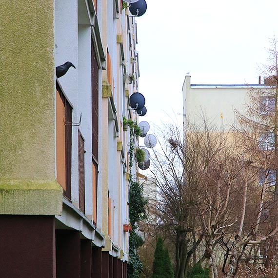 Kraty w oknach? Tylko za zgod Spdzielni