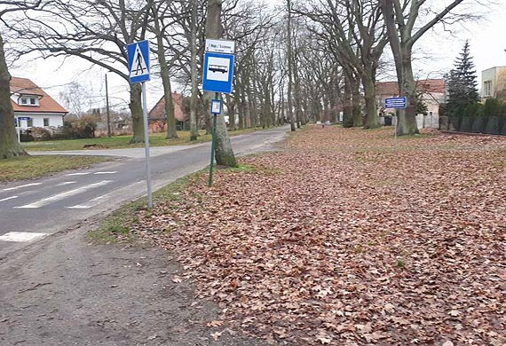 Mieszkaniec Karsiboru: sprzątanie tylko przed wyborami?