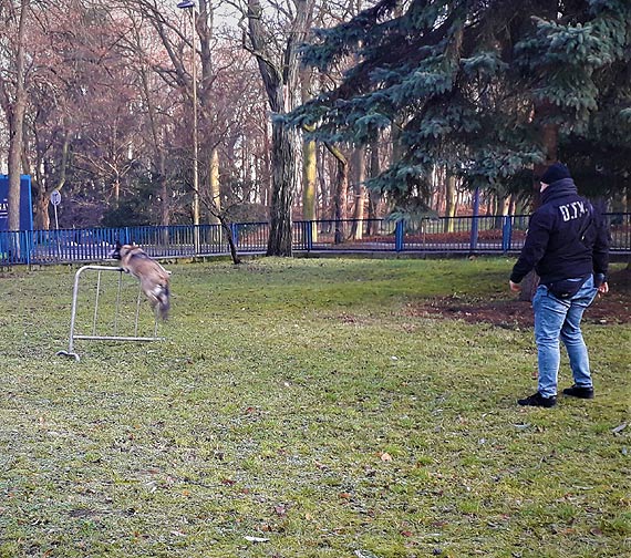 „Wiatraczki” poznay zawd Policjanta!