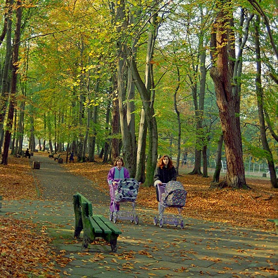 Park Zdrojowy to miejsce szczególne. Czy Urząd o tym pamięta?