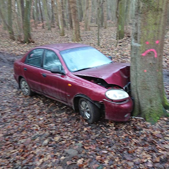 Po czowce z drzewem kierowca porzuci samochd