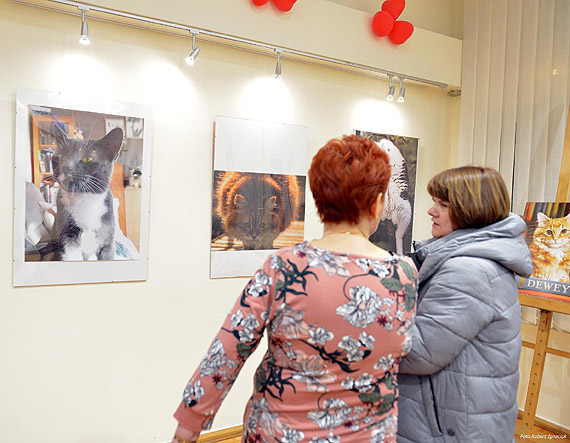 Koty, kocita, kociaczki w Bibliotece Miejskiej
