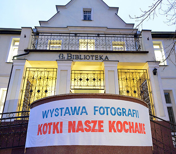 Koty, kocita, kociaczki w Bibliotece Miejskiej