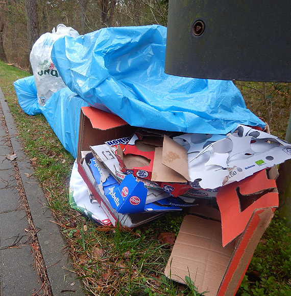 Czytelnik: Wyrzucili mieci...na promenad transgraniczn!