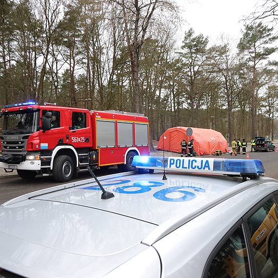Rozpoczęły się kontrole na przejściach granicznych. Autobusy i busy pod lupą służb