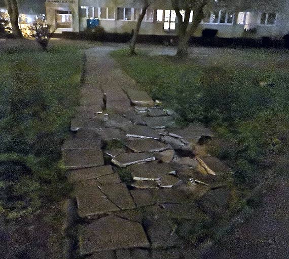 Czytelniczka- moja droga do domu!