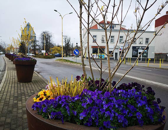 Internautka: Wandale nie odpuszczaj!
