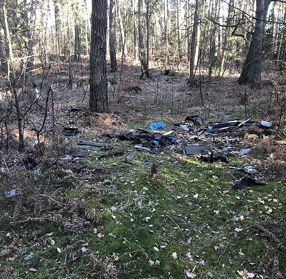 Sprzątają las bo czują się odpowiedzialni za nasze środowisko