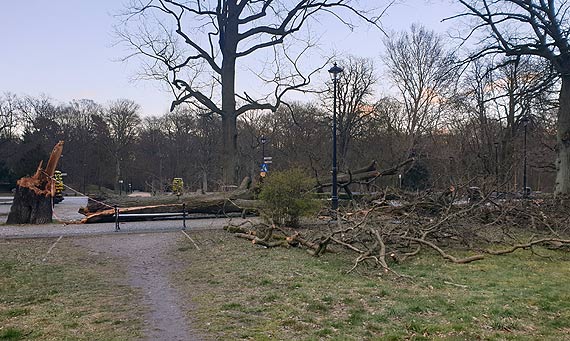 Czytelnik:  Wydawanie publicznych pienidzy powinno by bardziej przemylane
