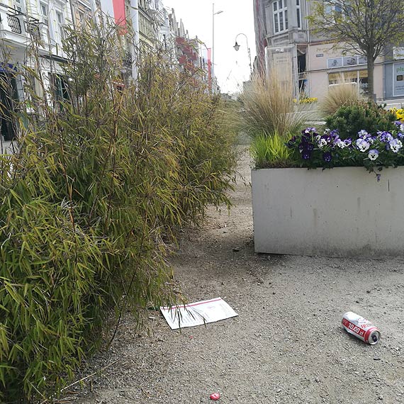„Karty wyborcze” jak mieci –  w kilku miejscach miasta