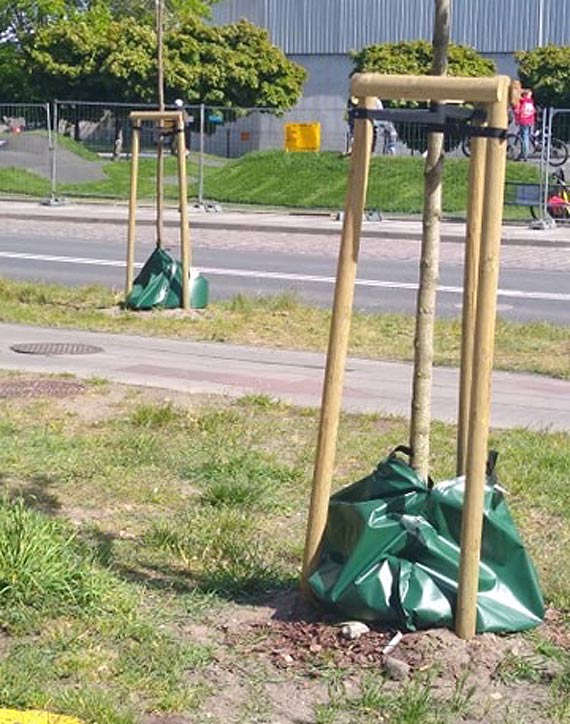 Miasto zakupio 400 workw do nawadniania drzew
