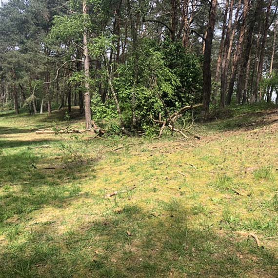 Mieszkanka: W pozytywnym tonie...