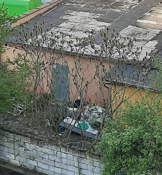 Po publikacji artykułu nastąpiły porządki!