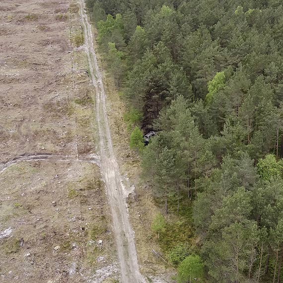 Płonął samochód i ściółka leśna wokół niego