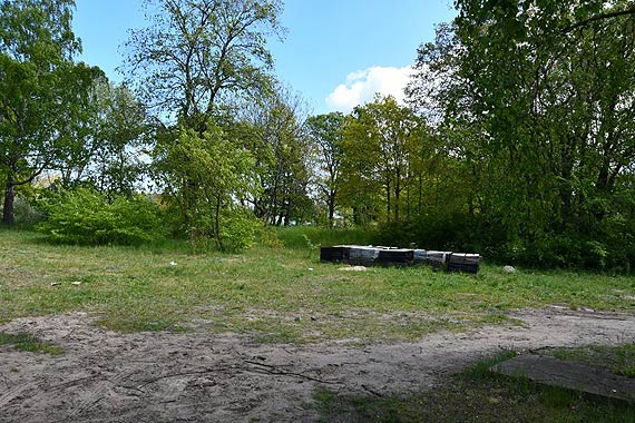 Przetarg rozstrzygnięty, ruszają prace przy placu zabaw na Warszowie