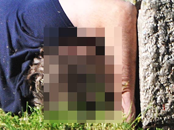 Mieszkanka: Obsceniczne widoki z mojego okna!