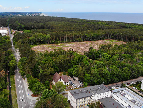 Miasto wyrąbało ponad 686 drzew. Są wątpliwości, czy legalnie