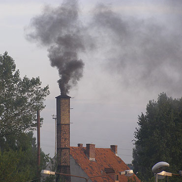 Sadza na głowy