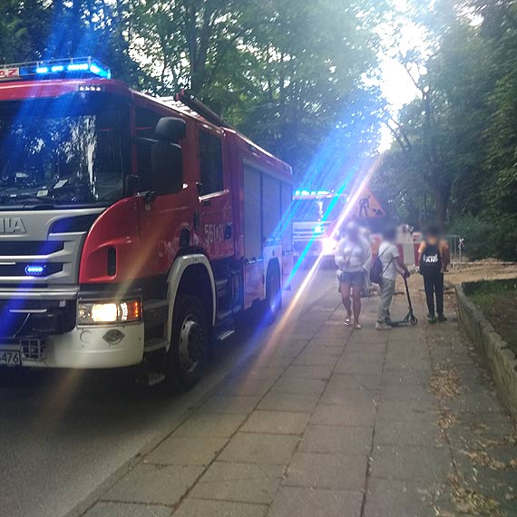 Mczyzna zasab w Parku Chopina. Na miejscu ratownicy medyczni i straacy
