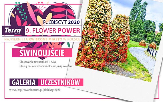 Ukwiecone miasto. Znów możemy być „naj”