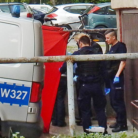 Zwoki przy garau na Konstytucji 3 Maja