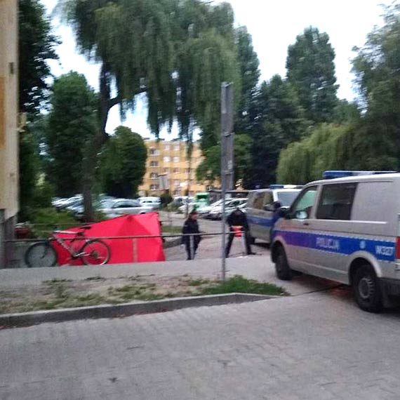 Zwoki przy garau na Konstytucji 3 Maja