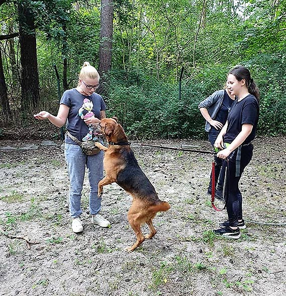 Przyjdź na Dzień Otwarty Schroniska dola Zwierząt w Świnoujściu