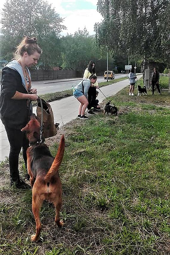 Przyjdź na Dzień Otwarty Schroniska dola Zwierząt w Świnoujściu