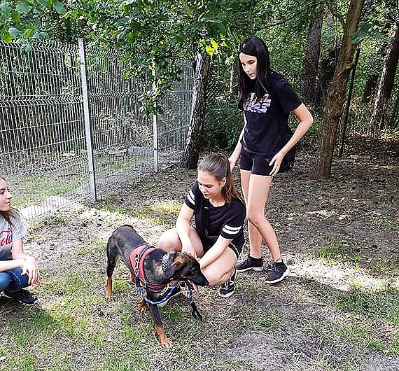 Przyjdź na Dzień Otwarty Schroniska dola Zwierząt w Świnoujściu
