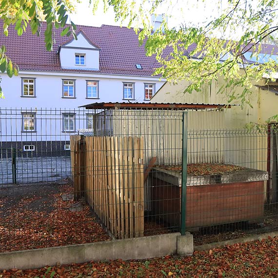 Szczekanie z komendy zakłóca spokój